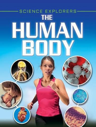 Cover image for The Human Body