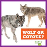 Cover image for Wolf or Coyote?