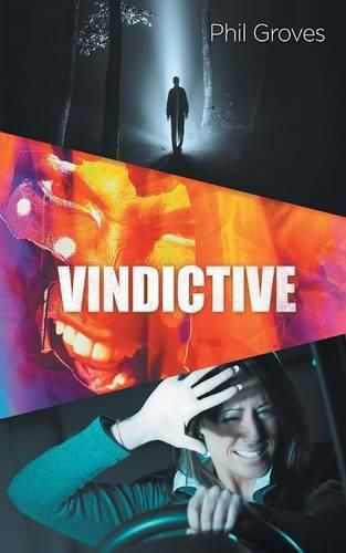 Cover image for Vindictive