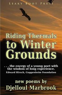 Cover image for Riding Thermals to Winter Grounds