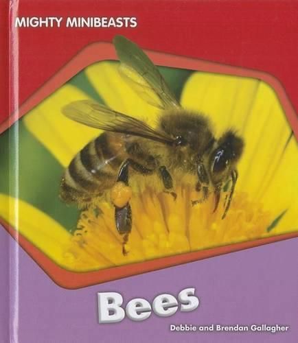 Cover image for Bees