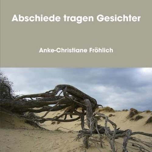 Cover image for Abschiede Tragen Gesichter