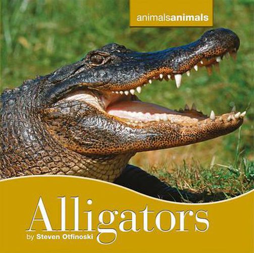 Cover image for Alligators