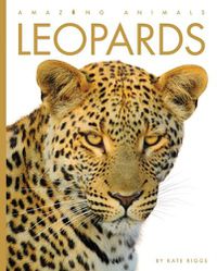 Cover image for Leopards