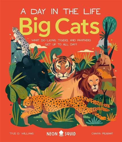 Cover image for Big Cats (A Day in the Life): What Do Lions, Tigers and Panthers Get up to all day?