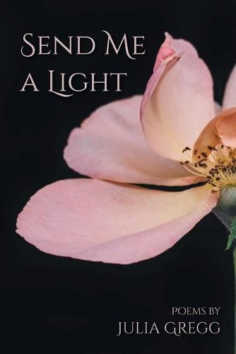 Cover image for Send Me a Light