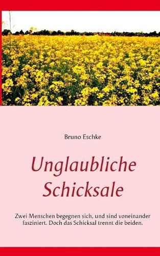 Cover image for Unglaubliche Schicksale: Zwei Menschen begegnen sich und sind voneinander fasziniert. Doch das Schicksal trennt die beiden.