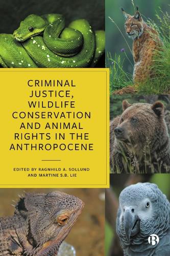 Cover image for Criminal Justice, Wildlife Conservation and Animal Rights in the Anthropocene