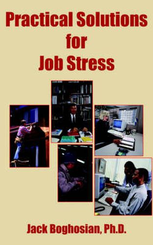 Cover image for Practical Solutions for Job Stress
