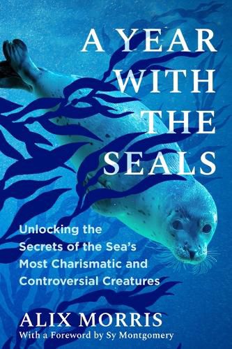 Cover image for A Year with the Seals