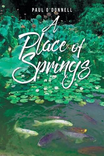 Cover image for A Place of Springs