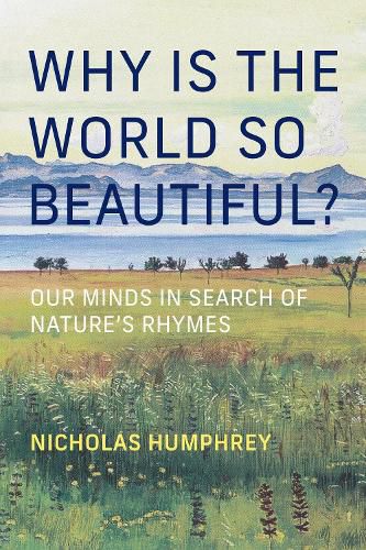 Cover image for Why Is the World So Beautiful?