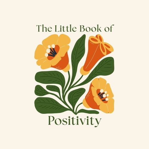 Cover image for The Little Book of Positivity