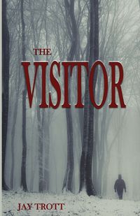 Cover image for The Visitor