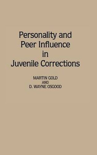 Cover image for Personality and Peer Influence in Juvenile Corrections