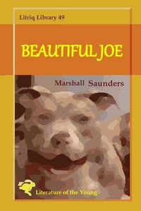 Cover image for Beautiful Joe