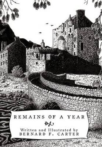 Cover image for Remains of a Year