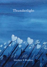 Cover image for Thunderlight