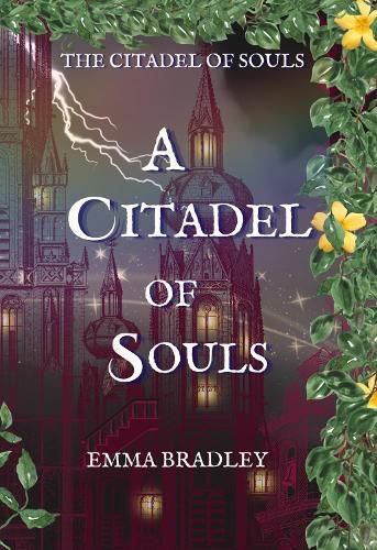 Cover image for The Citadel of Souls