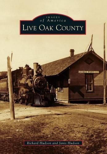 Cover image for Live Oak County