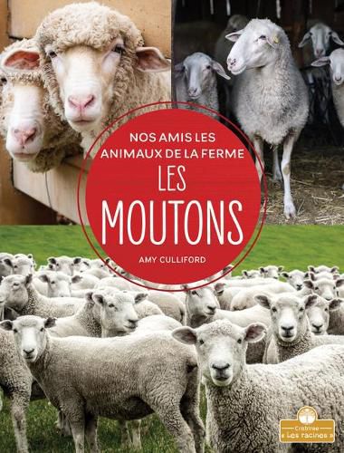 Cover image for Les Moutons