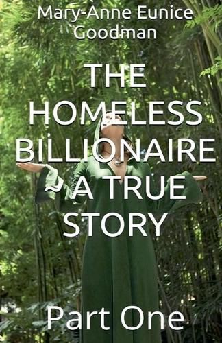 Cover image for The Homeless Billionaire - A True Story - Part 1