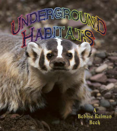 Cover image for Underground Habitats