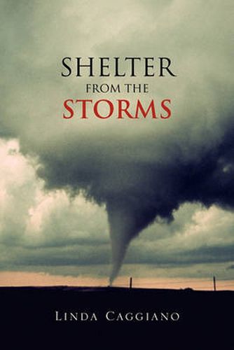 Cover image for Shelter from the Storms