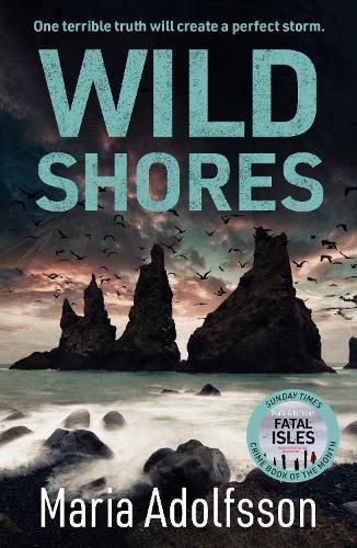 Cover image for Wild Shores: The bestselling atmospheric police procedural that has taken the world by storm