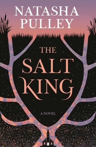Cover image for The Salt King