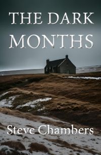 Cover image for The Dark Months