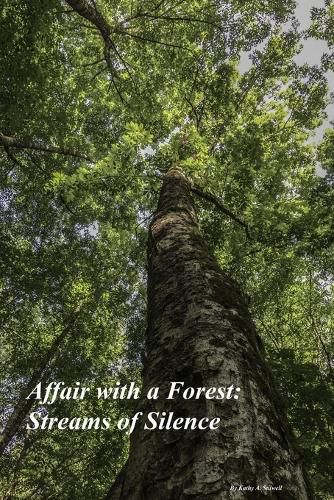 Cover image for Streams of Silence - Affair with a Forest Paperback