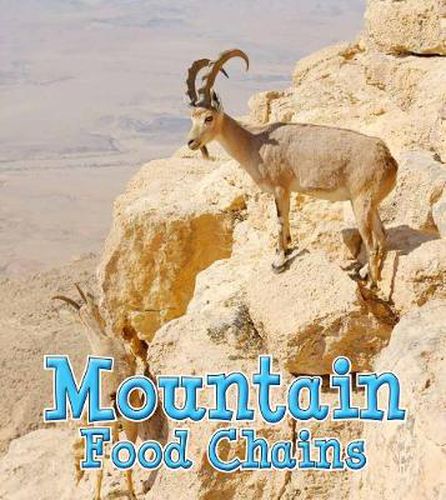 Cover image for Mountain Food Chains