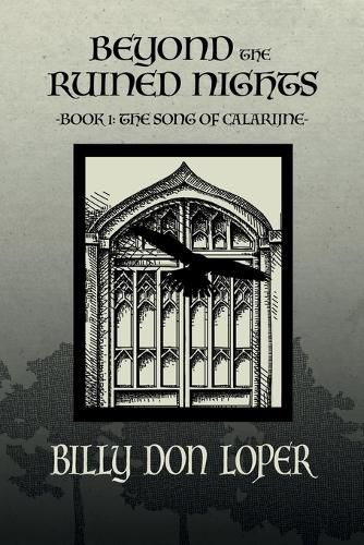 Cover image for Beyond the Ruined Nights