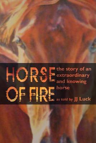 Cover image for Horse of Fire