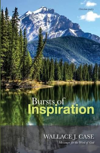 Cover image for Bursts of Inspiration