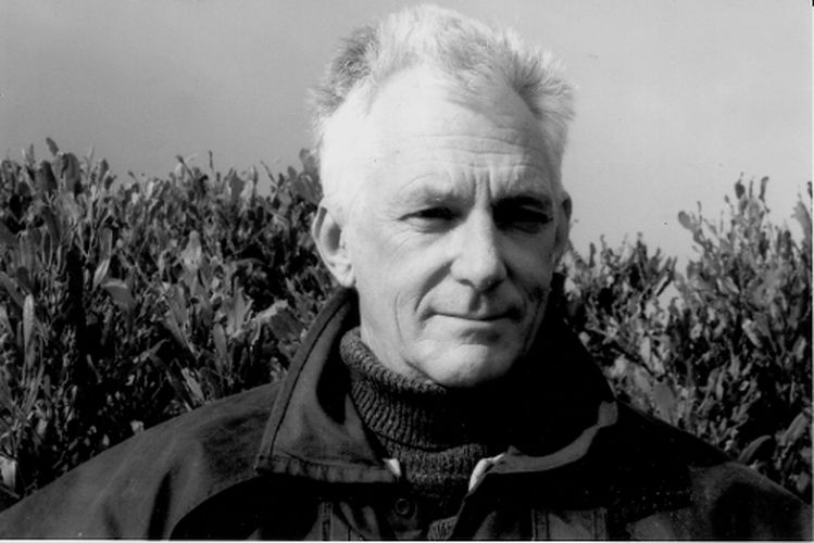 Cover image for Excursions