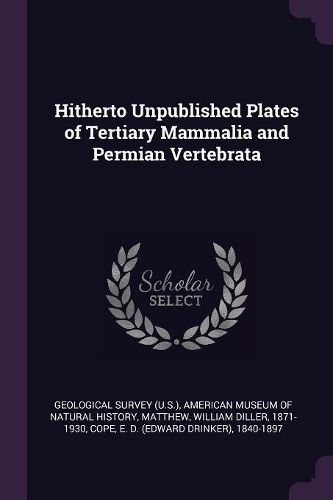 Cover image for Hitherto Unpublished Plates of Tertiary Mammalia and Permian Vertebrata