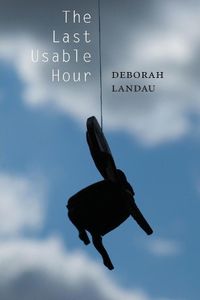 Cover image for The Last Usable Hour