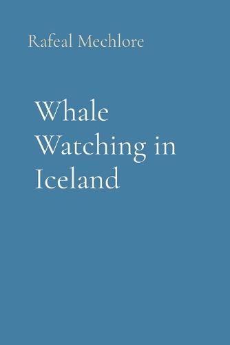 Whale Watching in Iceland