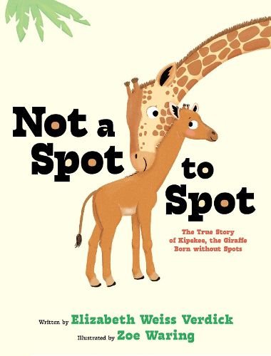 Cover image for Not a Spot to Spot