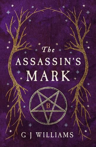 Cover image for The Assassin's Mark