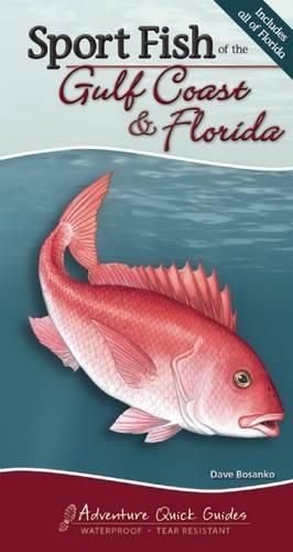 Cover image for Sport Fish of the Gulf Coast & Florida: Your Way to Easily Identify Sport Fish