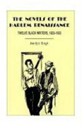 Cover image for The Novels of the Harlem Renaissance: Twelve Black Writers, 1923-1933