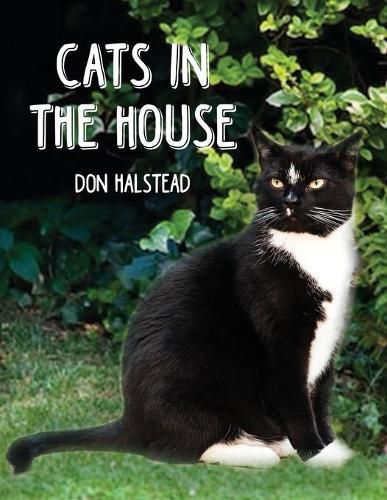 Cover image for Cats in the House