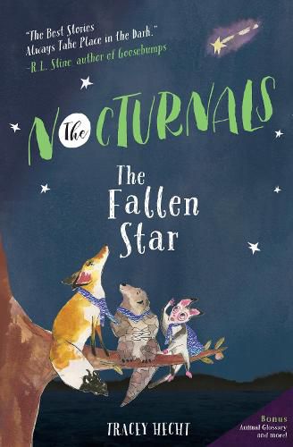 Cover image for The Fallen Star: The Nocturnals Book 3