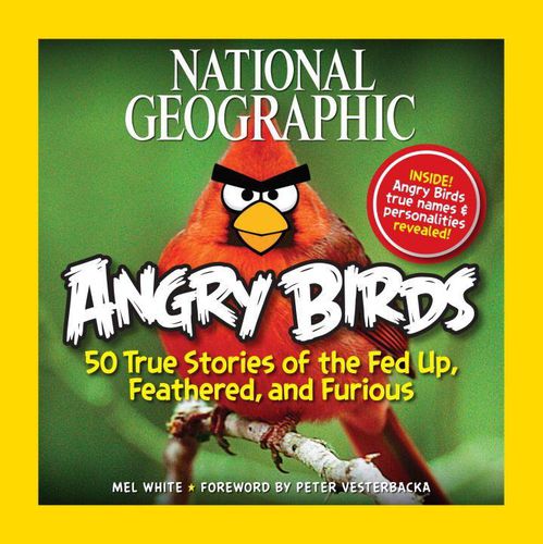 Angry Birds: Fed Up, Feathered, and Furious
