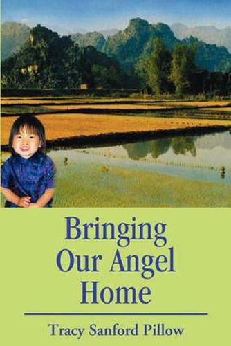 Cover image for Bringing Our Angel Home