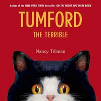 Cover image for Tumford The Terrible