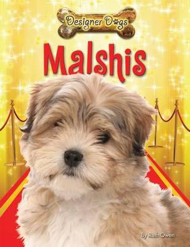 Cover image for Malshis